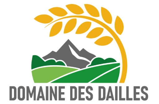 logo_des_dailles_transprent_small_512