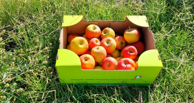 pommes_2